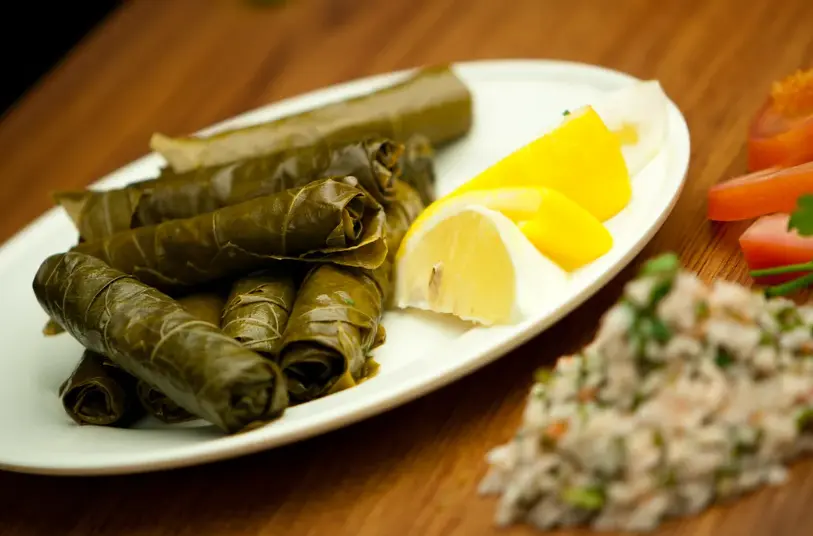 محشي ورق العنب