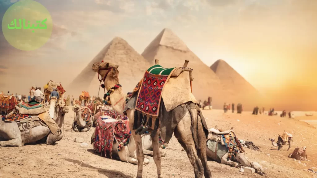 من بنى الأهرامات