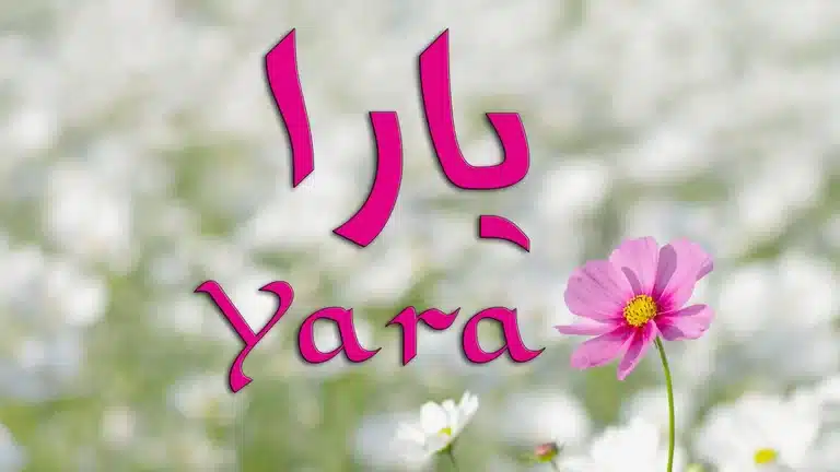 معنى اسم يارا وشخصيتها وما هي صفات حاملته؟ 1 معنى اسم يارا وما هي صفات حاملته؟