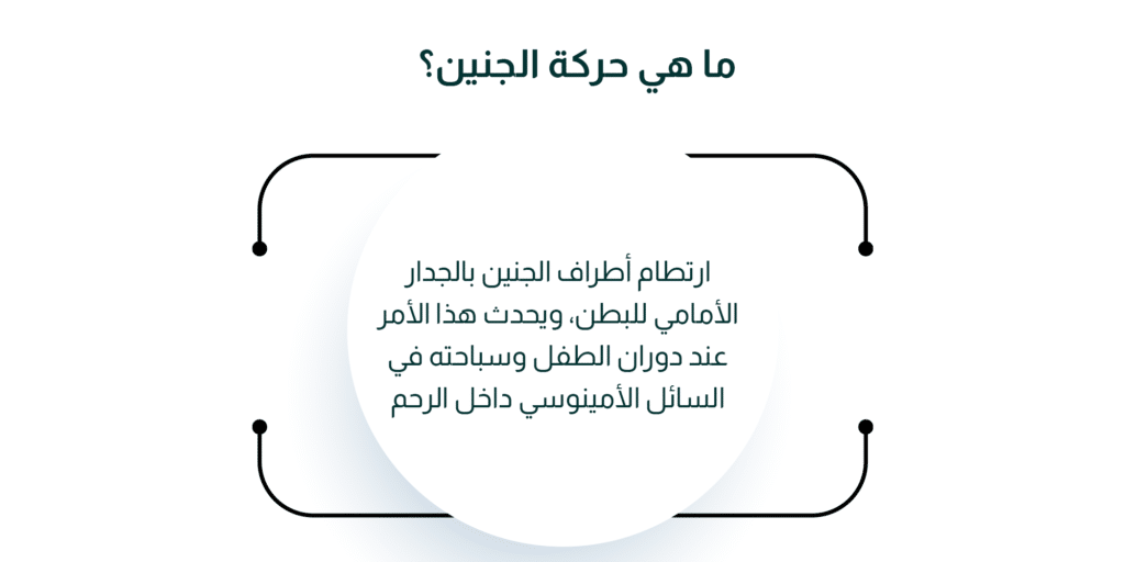 حركة الجنين