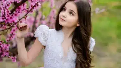 عبارات عن الجمال